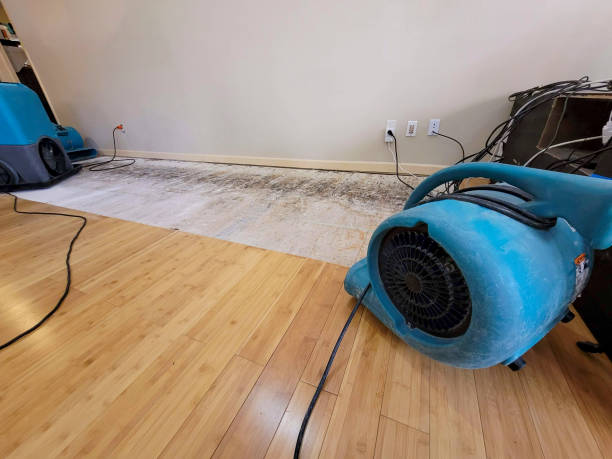 Professional Basement Flood Cleanup technician working in Belmore, OH